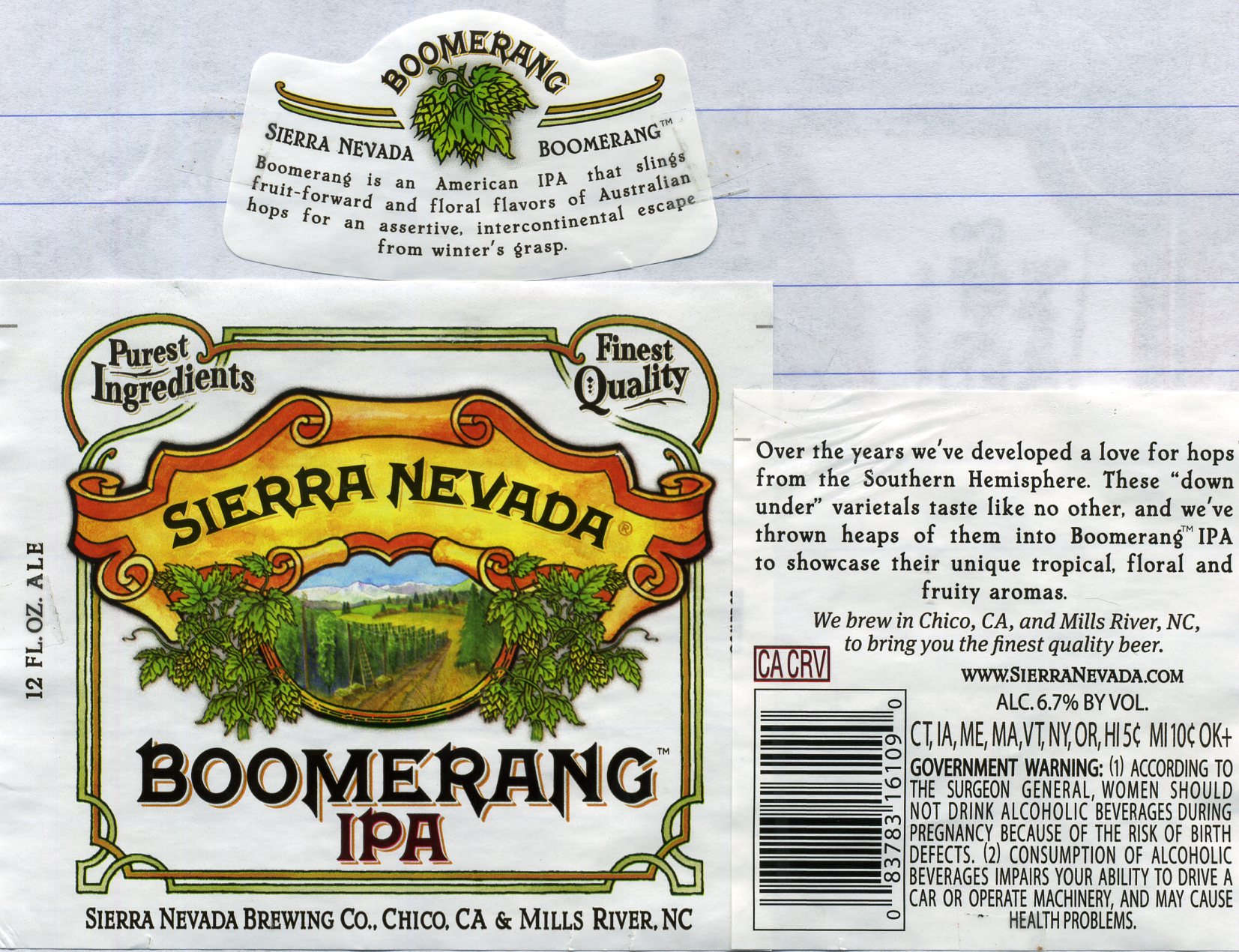 Boomerang IPA
